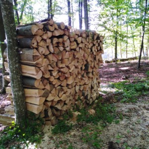 Drva bukva-hrast