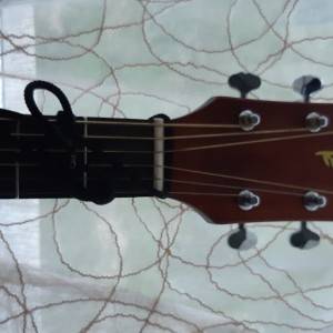 Ibanez akustična gitara