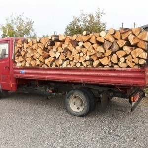 Mercedes 814 vario kiper 240000 km, servisna, bobcat 753