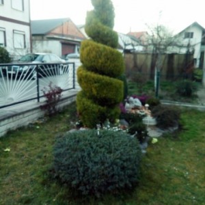 uređenje i održavanje zelenih površina, čišćenje
