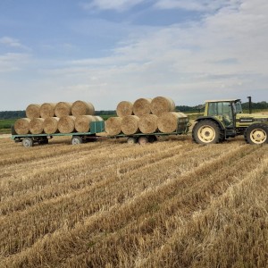 TRAKTOR HURLIMANN 6135 ELITE