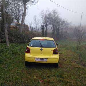 VW Polo