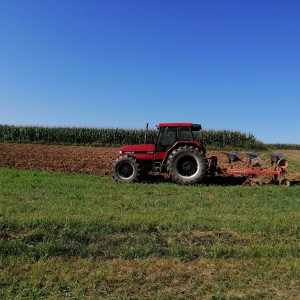 Case 5130