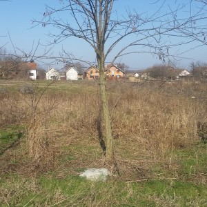 Građevinsko zemljište Bogdanovci