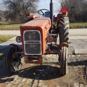 Ursus 355