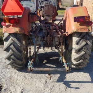 Ursus 355