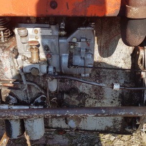 Ursus 355