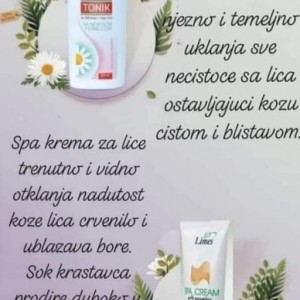 Kreme za njegu lica na biljnoj bazi