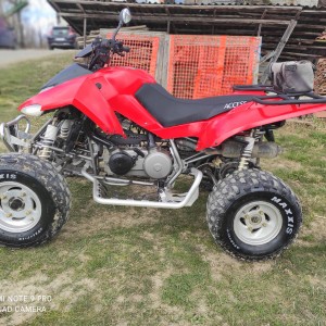 ACCESS APOLO 300 IRS