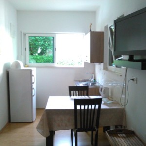 STUDIO APRTMAN VIANA-SPLIT (BAČVICE, ZASEBAN OBJEKT PRIVATAN PARKING,2