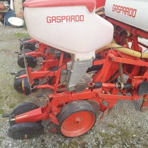 Sijacica gaspardo mt4