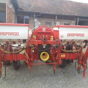 Sijacica gaspardo mt4