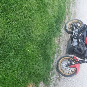 Aprilia Rs 125 Tuono