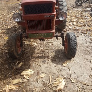 Štore 302