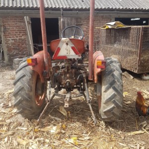 Štore 302