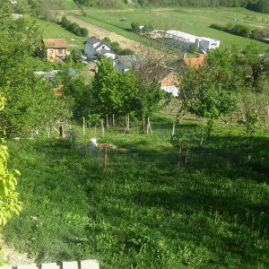 Prodajem kucu u Sesvetama kod Markovog polja