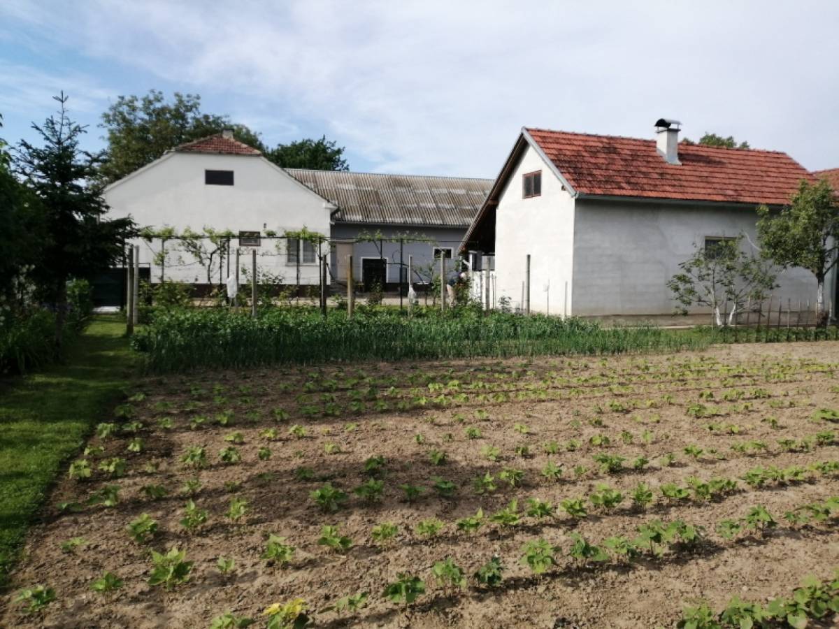 Kuća sa gospodarskim zgradama, Peteranec.