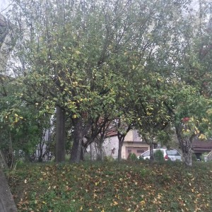 KUćA NA PRODAJU