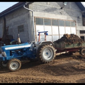 Ford 5000