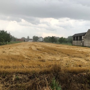 Kuca sa zemljistem 3998m2 Vođinci