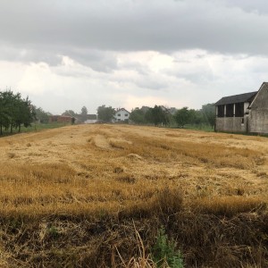 Kuca sa zemljistem 3998m2 Vođinci