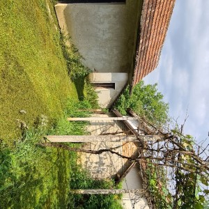 Kuća