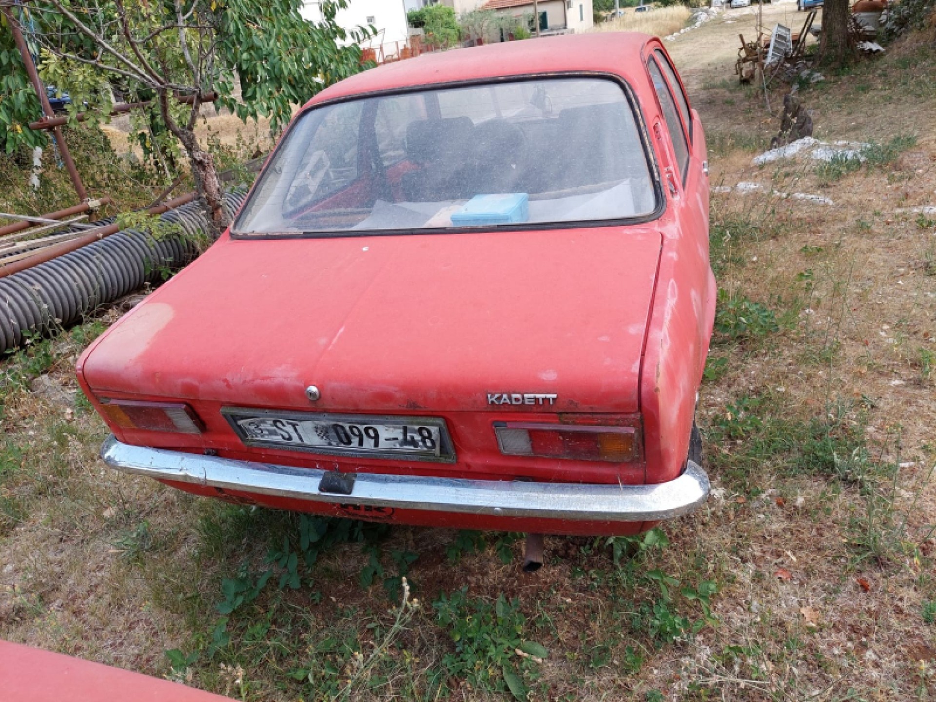 Kadet