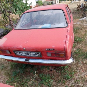 Kadet