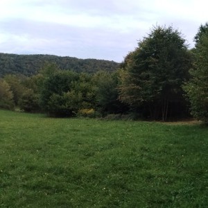 Zemljište gorski Kotar na osami