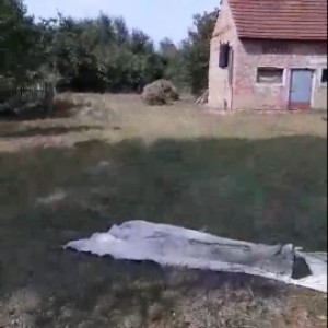 Kuca na prodaju