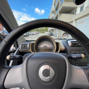 HITNO, 1.0 PASSION, 83 HP, TURBO, PANORAMA KROV, BENZIN