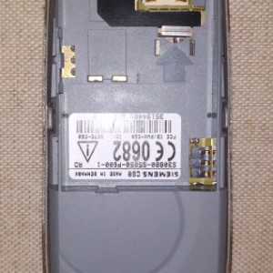 Siemens C60