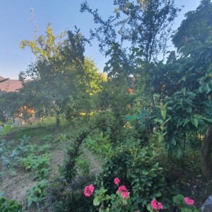 ČITATI OGLAS! Zagreb, građevinsko zeml. 820m2 PRILIKA ZA INVESTITORE!