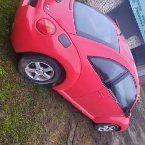 VW beetle