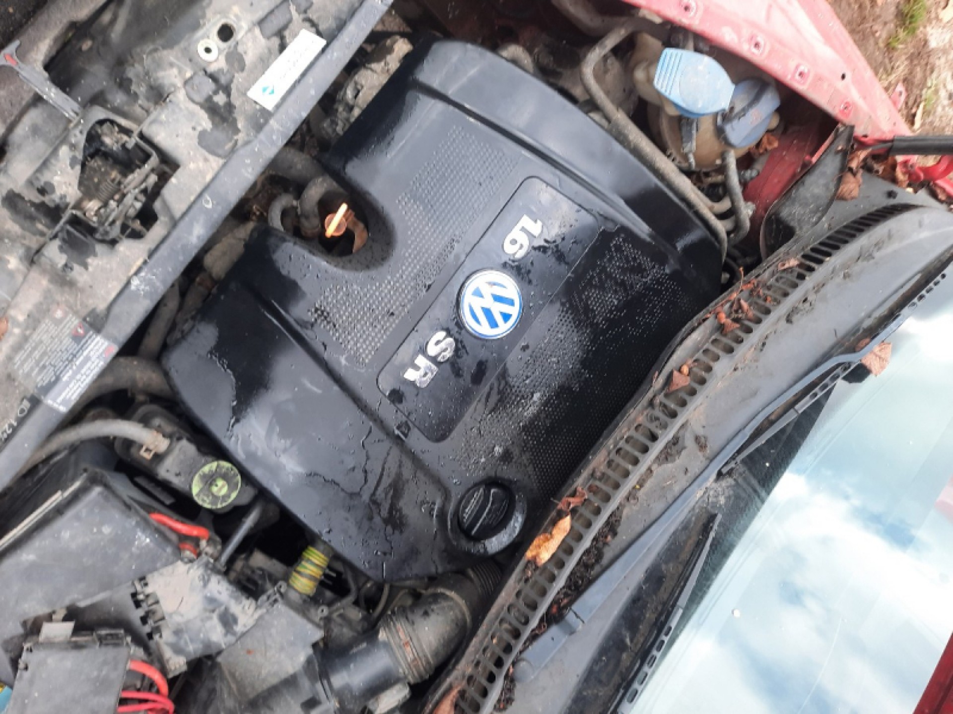 VW beetle