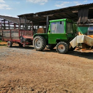 Deutz Intrac 2002 i roto kosa Niemeyer