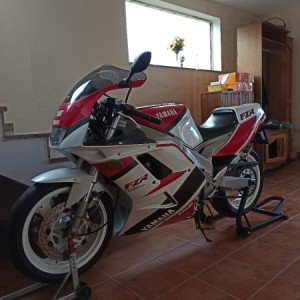 Yamaha FZR 100 exup 1002 cm3