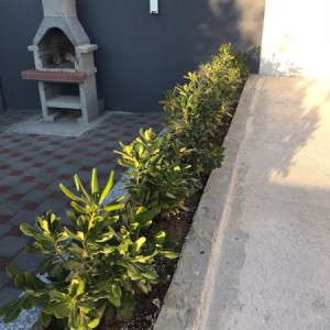 ** Prodajem dva apartmana u Vrsima**