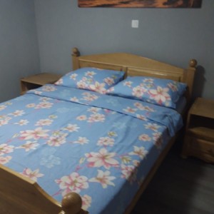 ** Prodajem dva apartmana u Vrsima**