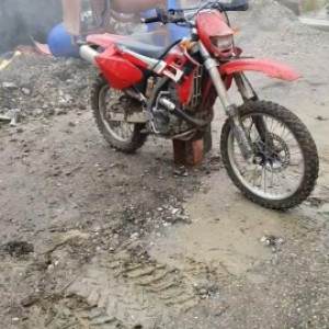 Gas gas 450