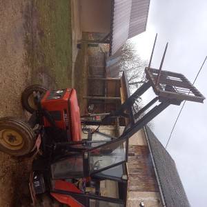 Zetor