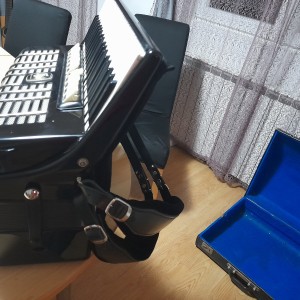 Weltmaister diana120b