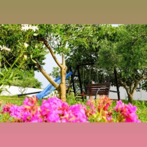 Apartmani Zaton Draga