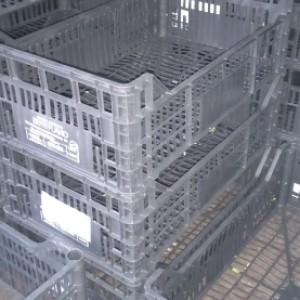 PVC gajbice