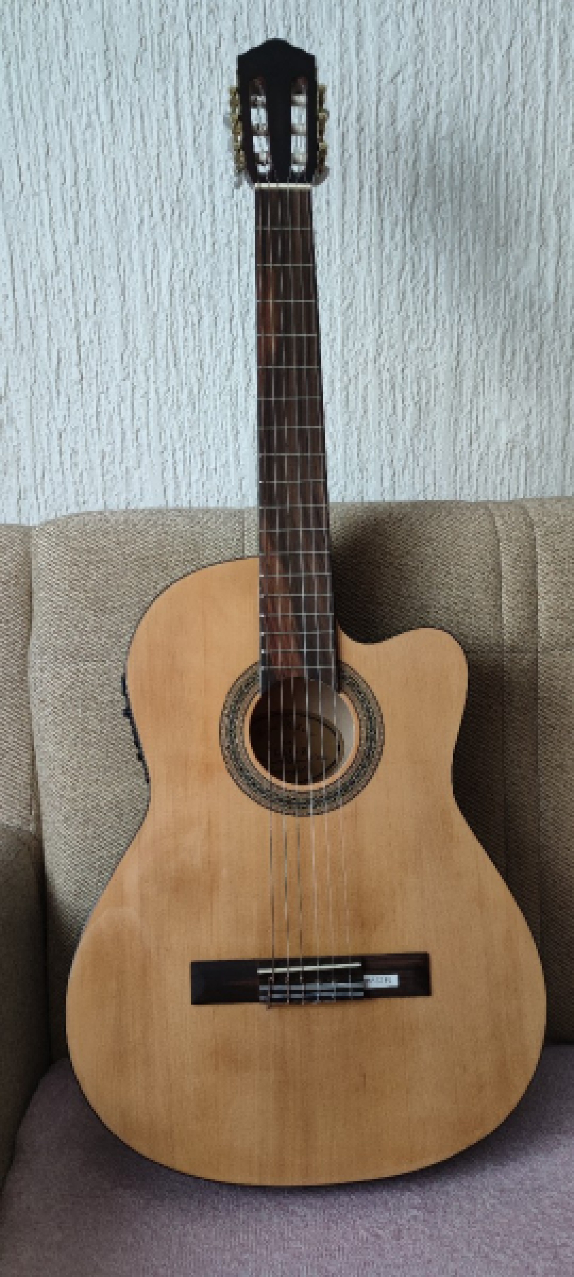 Elektroakustična-KLASIČNA gitara Jose Ribera