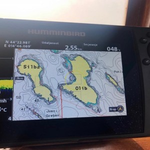 Drvena pasara 6,99