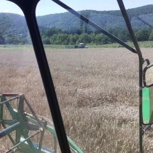 kombajn deutz fahr 2385