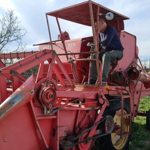 KOMBAJN MASSEY FERGUSON - REGISTRIRAN