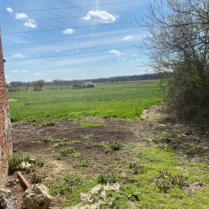 Kuca