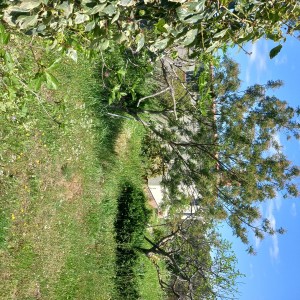 Drače,vikendica 55m2 sa okućnicom 900m2